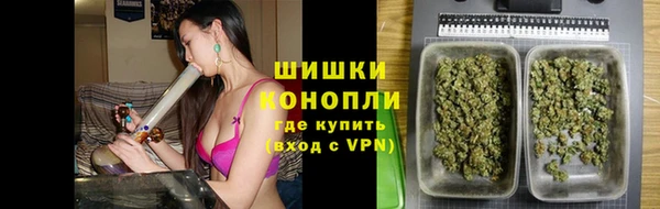 дмт Осинники