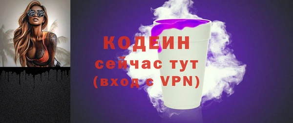 дмт Осинники