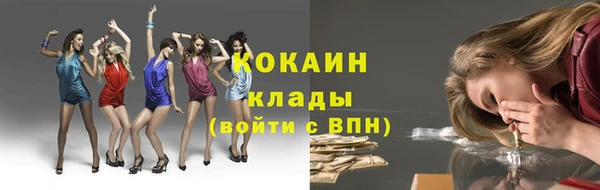 дмт Осинники