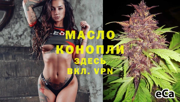 дмт Осинники