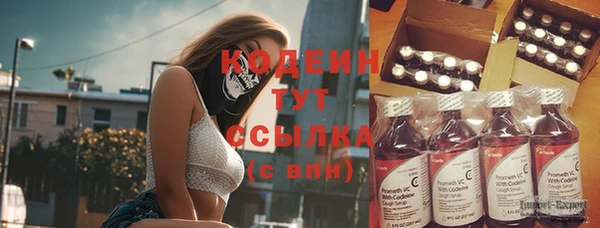 дмт Осинники
