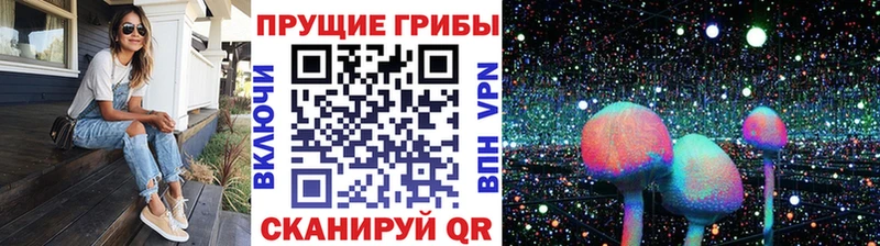 закладка  Пучеж  Псилоцибиновые грибы Psilocybine cubensis 